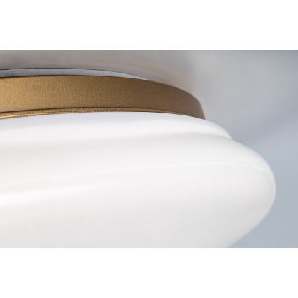 Rabalux - Plafonnier LED pour salle de bains, 24 W, 230 V, IP44, Ø 41 cm