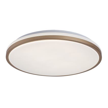 Rabalux - Plafonnier LED pour salle de bains LED/18W/230V IP44 Ø 34 cm