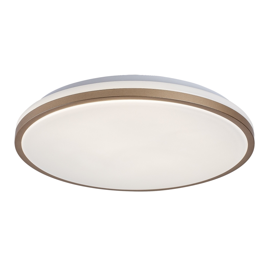 Rabalux - Plafonnier LED pour salle de bains LED/18W/230V IP44 Ø 34 cm