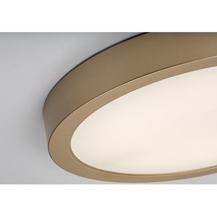 Rabalux - LED badkamerplafondlamp LED/30W/230V Ø 30 cm IP44 goud