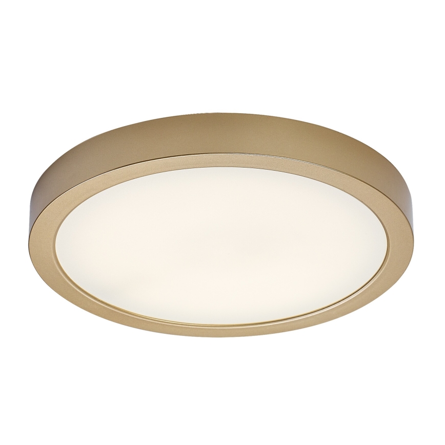 Rabalux - LED badkamerplafondlamp LED/30W/230V Ø 30 cm IP44 goud