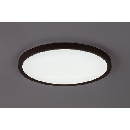 Rabalux - LED plafondlamp voor de badkamer, 24W, 230V, keuze uit 3000/4000/6000K, Ø 40 cm, IP44, bruin