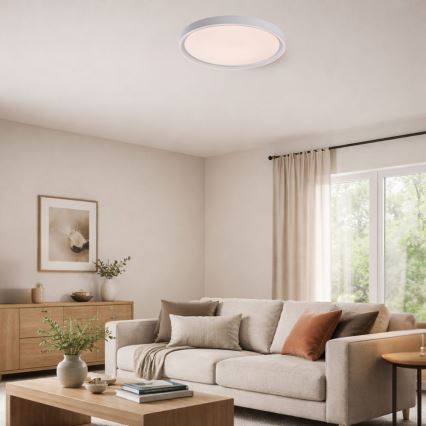 Rabalux - LED dimbare plafondlamp LED/31W/230V IP40 3000-6500K Ø 41,5 cm + afstandsbediening