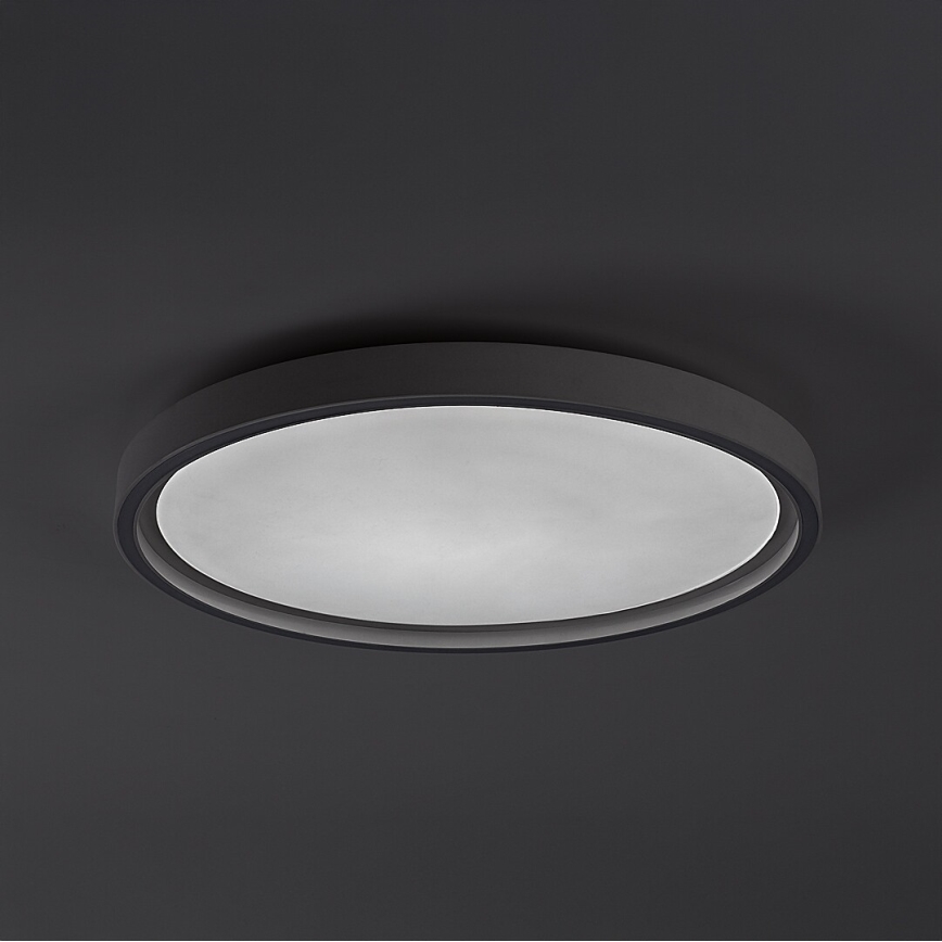 Rabalux - LED dimbare plafondlamp LED/31W/230V IP40 3000-6500K Ø 41,5 cm + afstandsbediening