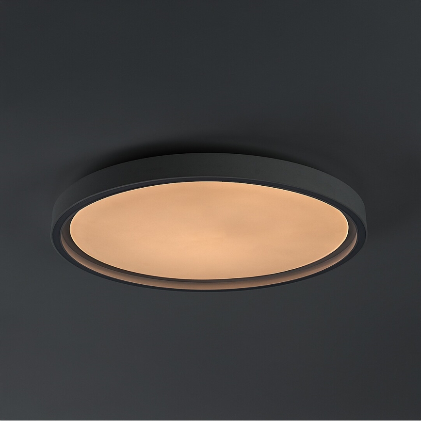 Rabalux - Plafonnier LED dimmable LED/31W/230V IP40 3000-6500K Ø 41,5 cm + télécommande