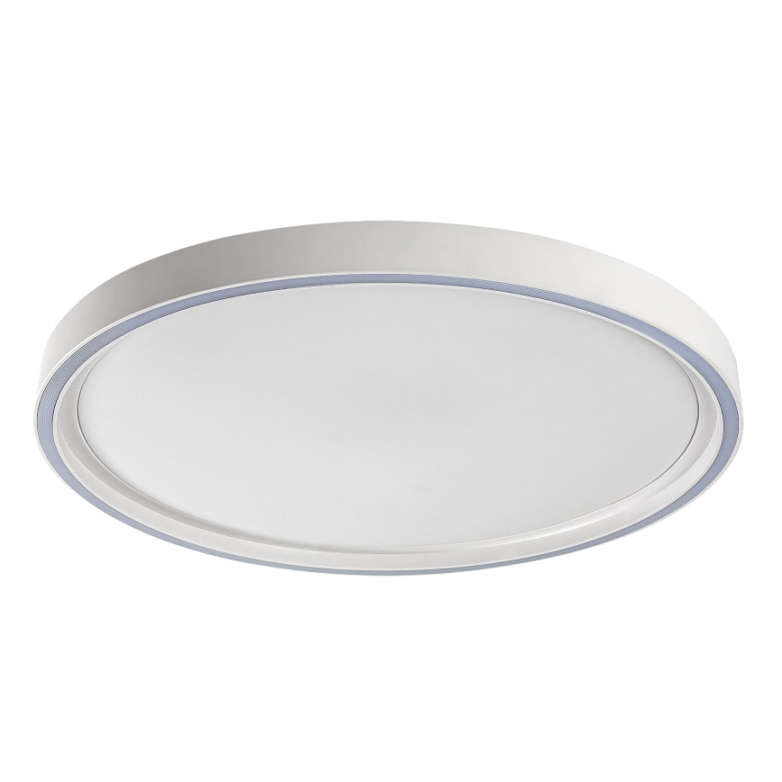 Rabalux - Plafonnier LED dimmable LED/31W/230V IP40 3000-6500K Ø 41,5 cm + télécommande