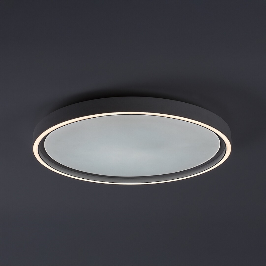 Rabalux - Plafonnier LED dimmable LED/31W/230V IP40 3000-6500K Ø 41,5 cm + télécommande