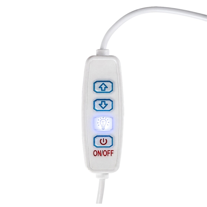 Rabalux - LED Dimbare Tafellamp LED/1,2W/5V 3000K Beuk