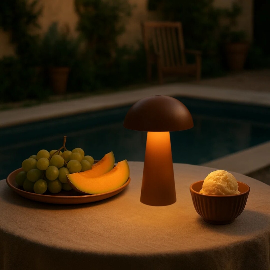 Rabalux - Lampe d'extérieur tactile LED dimmable rechargeable LED/1,5W/5V IP44 1200 mAh USB marron