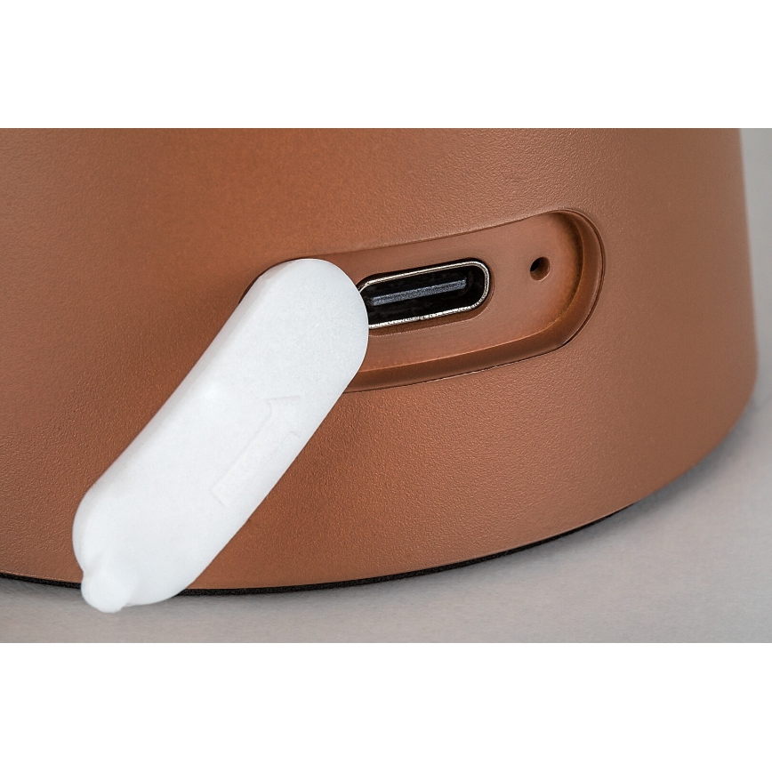 Rabalux - Lampe d'extérieur tactile LED dimmable rechargeable LED/1,5W/5V IP44 1200 mAh USB marron