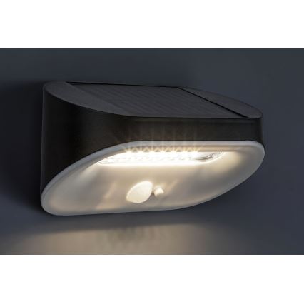 Rabalux - Éclairage solaire avec détecteur LED/3,2W/3,7V IP44