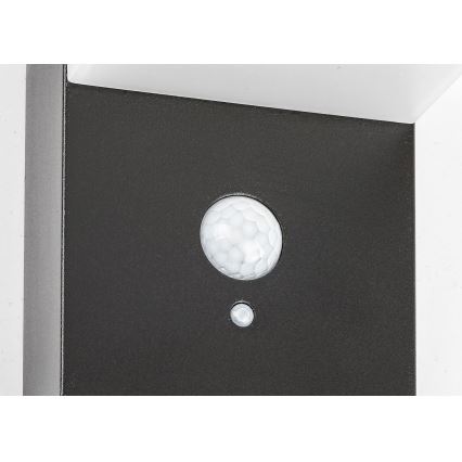 Rabalux - LED-lamp op zonne-energie met een sensor LED/6W/3,7V IP44 2200 mAh