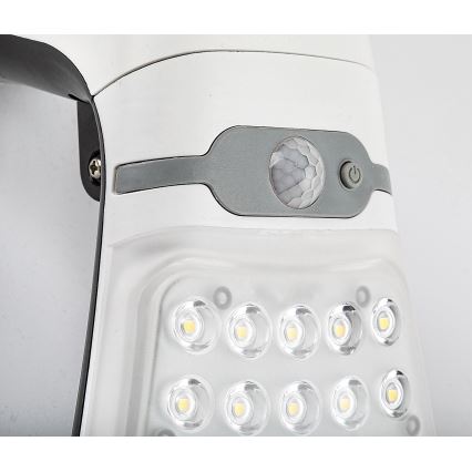 Rabalux - LED dimbare lamp op zonne-energie met sensor LED/4W/3,7V IP44