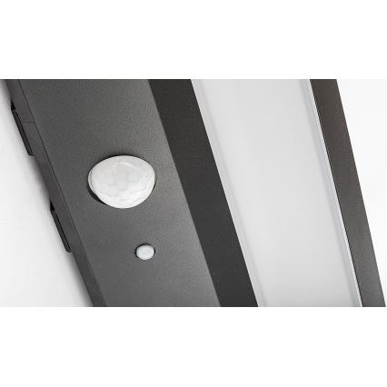 Rabalux - Éclairage solaire avec détecteur LED/6W/3,7V IP44 2200 mAh