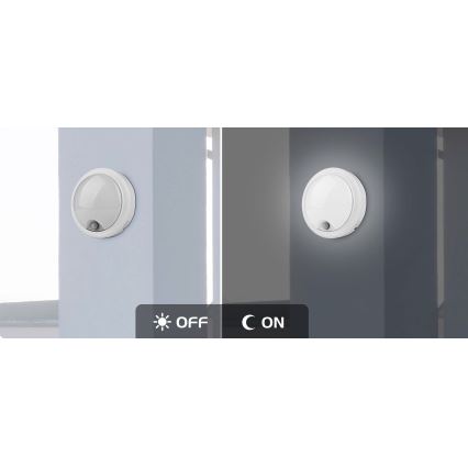 Rabalux - Applique murale d'extérieur avec détecteur LED/15W/230V IP54