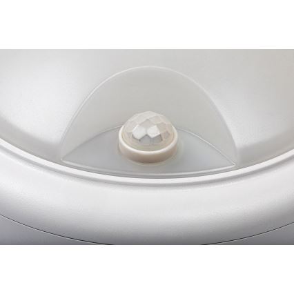 Rabalux - Applique murale d'extérieur avec détecteur LED/15W/230V IP54