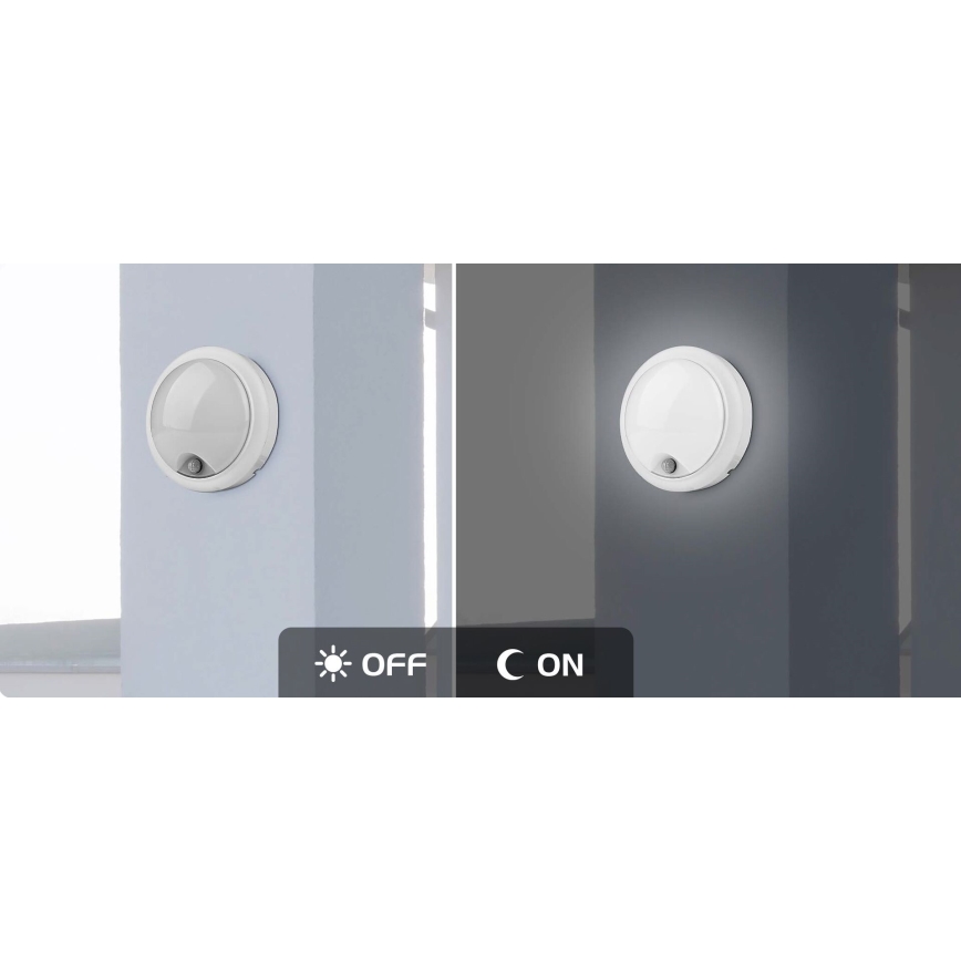 Rabalux - LED Buitenwandlamp met sensor LED/15W/230V IP54