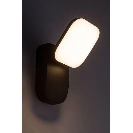 Rabalux - LED Wandlamp voor buiten LED/12W/230V IP44 zwart