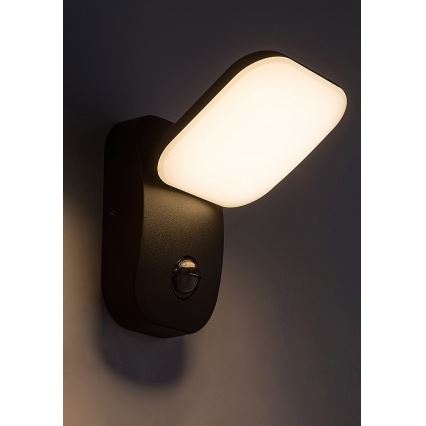 Rabalux - LED Applique murale extérieure avec détecteur LED/12W/230V IP44