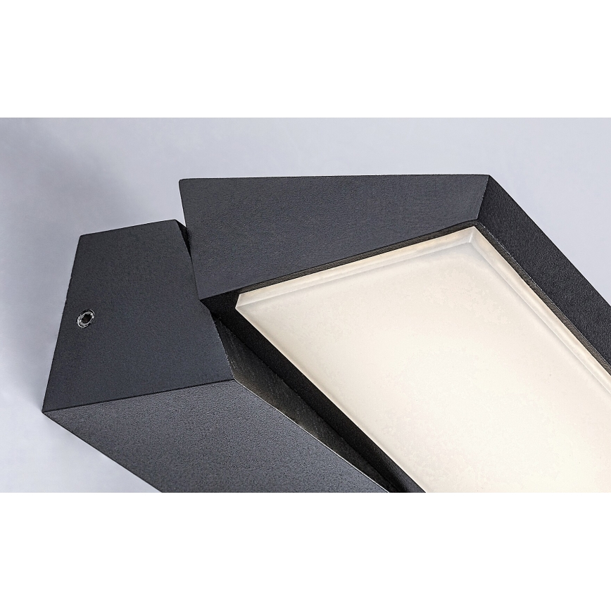 Rabalux - LED Wandlamp voor buiten LED/13W/230V IP65 zwart