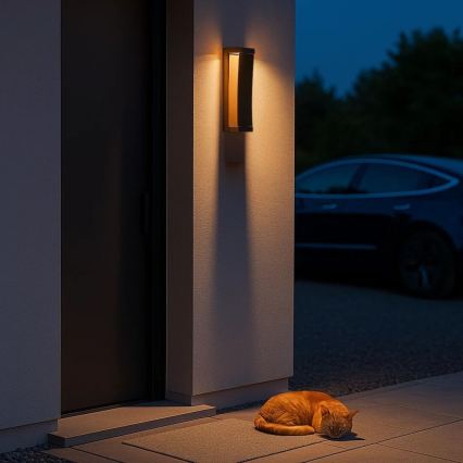 Rabalux - Applique murale d'extérieur LED/13W/230V IP65 marron