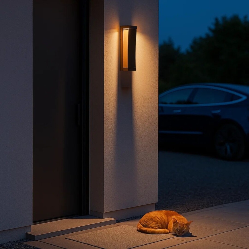 Rabalux - Applique murale d'extérieur LED/13W/230V IP65 marron