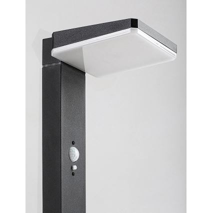 Rabalux - LED Dimbaar zonne- buitenshuis lamp met sensor LED/4,4W/3,7V IP54 antraciet