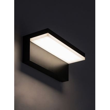 Rabalux - Applique murale extérieure LED/10W/230V IP54 noir