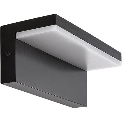 Rabalux - Applique murale extérieure LED/10W/230V IP54 noir