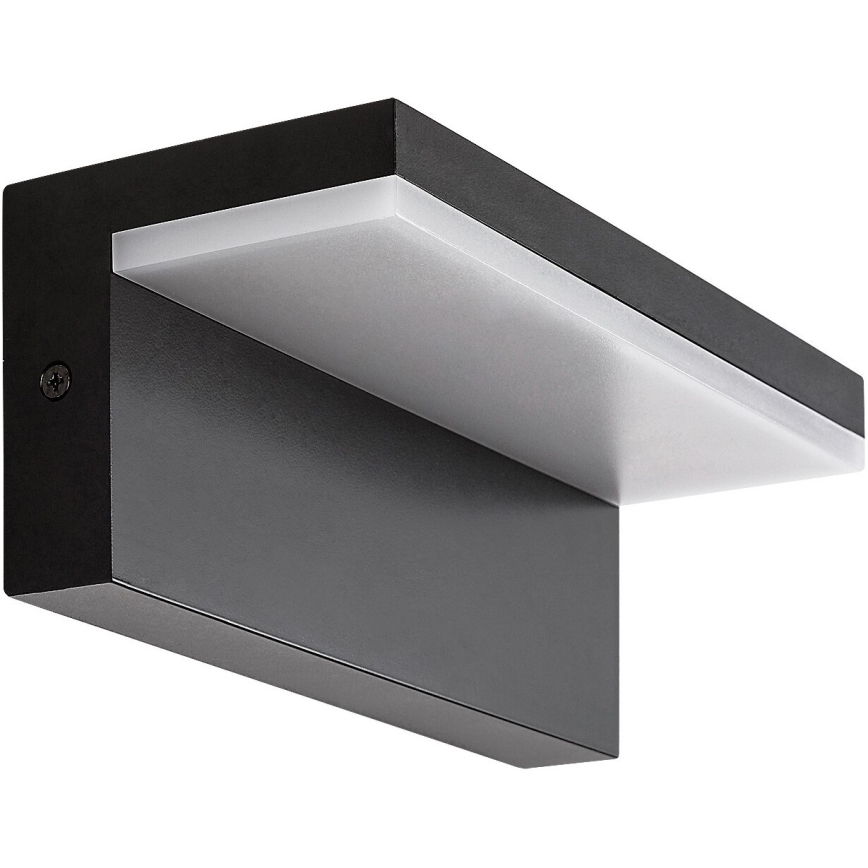 Rabalux - LED Wandlamp voor buiten LED/10W/230V IP54 zwart