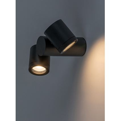 Rabalux - Wandlamp voor buiten 2xGU10/35W/230V IP44