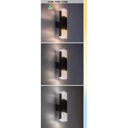 Rabalux - LED Wandlamp voor buiten LED/12W/230V 2700/4000/6000K IP54