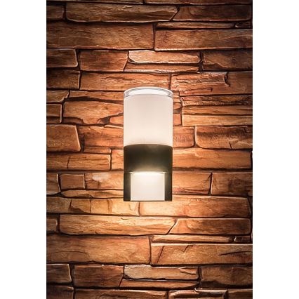 Rabalux - Applique murale extérieure LED/12W/230V IP44