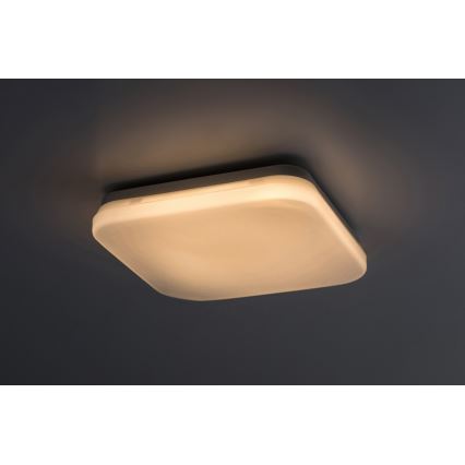 Rabalux - LED Badkamer plafondlamp LED/12W/230V 3000/4000/6000K IP44