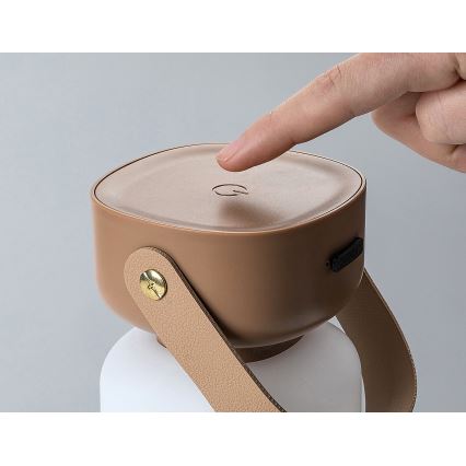 Rabalux - Lampe de table tactile extérieure à intensité variable et rechargeable LED/3W/5V IP44 marron
