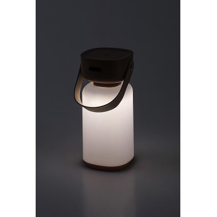 Rabalux - LED Buiten dimbare touch oplaadbare tafellamp LED/3W/5V IP44 bruin