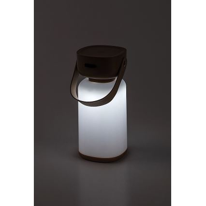 Rabalux - LED Buiten dimbare touch oplaadbare tafellamp LED/3W/5V IP44 bruin