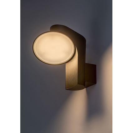 Rabalux - Applique murale extérieure LED/12W/230V IP54