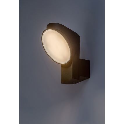 Rabalux - Applique murale extérieure LED/12W/230V IP54