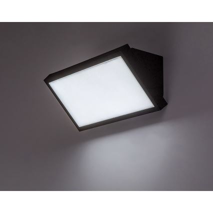 Rabalux - Applique murale extérieure LED/18W/230V 2700/4000/6500K IP65