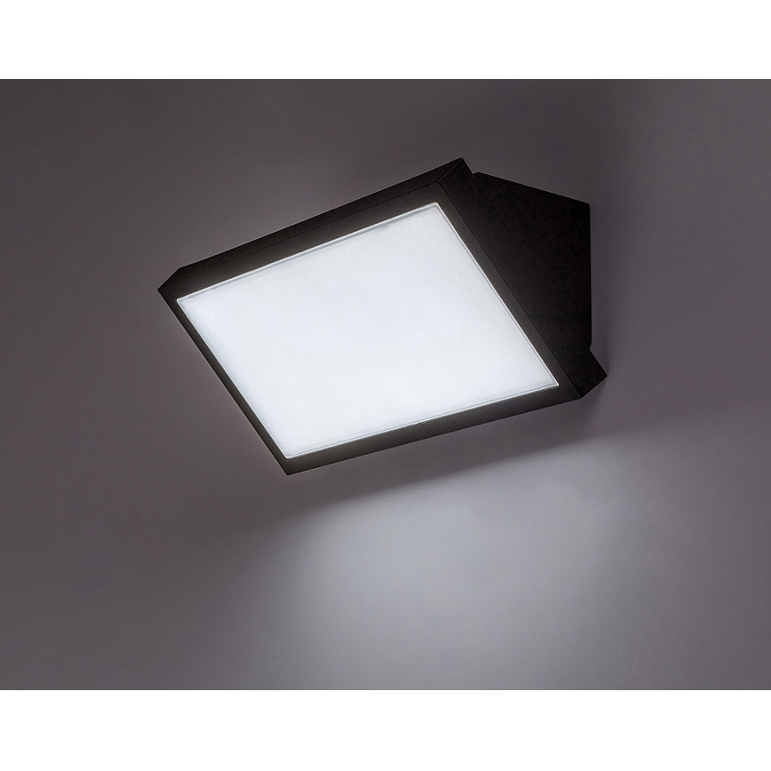 Rabalux - Applique murale extérieure LED/18W/230V 2700/4000/6500K IP65