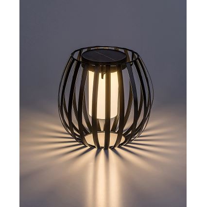 Rabalux - Luminaire solaire LED/1W/1,2V 300mAh IP44