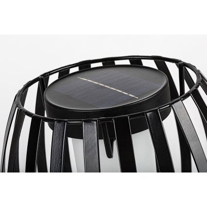 Rabalux - Luminaire solaire LED/1W/1,2V 300mAh IP44