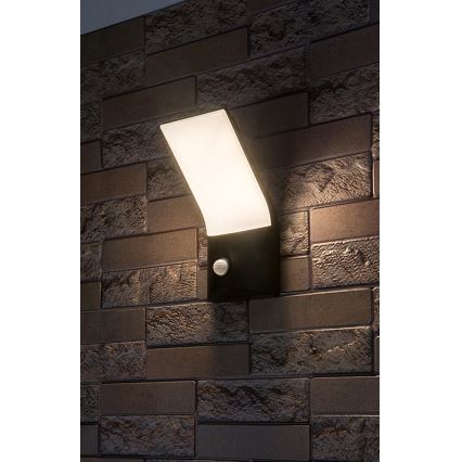Rabalux - Applique murale extérieure avec détecteur LED/10W/230V IP54