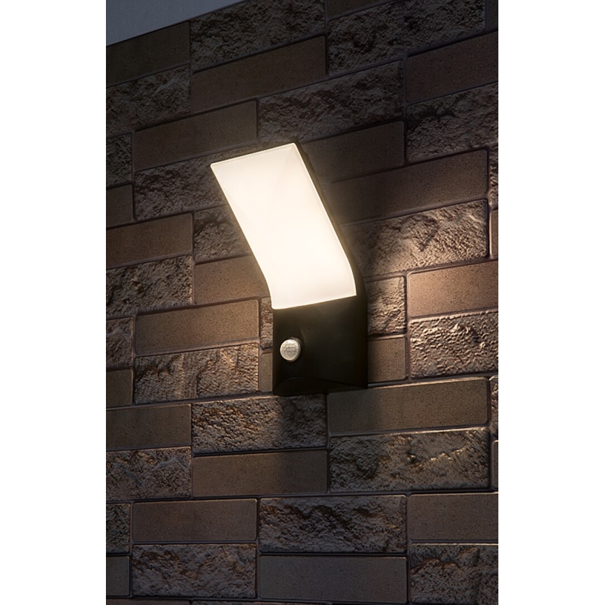 Rabalux - Applique murale extérieure avec détecteur LED/10W/230V IP54