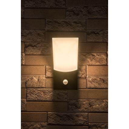 Rabalux - Applique murale extérieure avec détecteur LED/10W/230V IP54