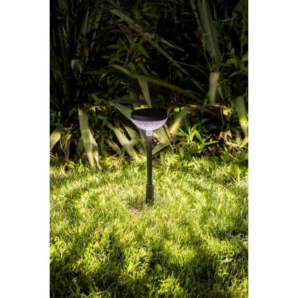 Rabalux - LED RGB Solarverlichting LED/0,1W/1,2V 600mAh IP44