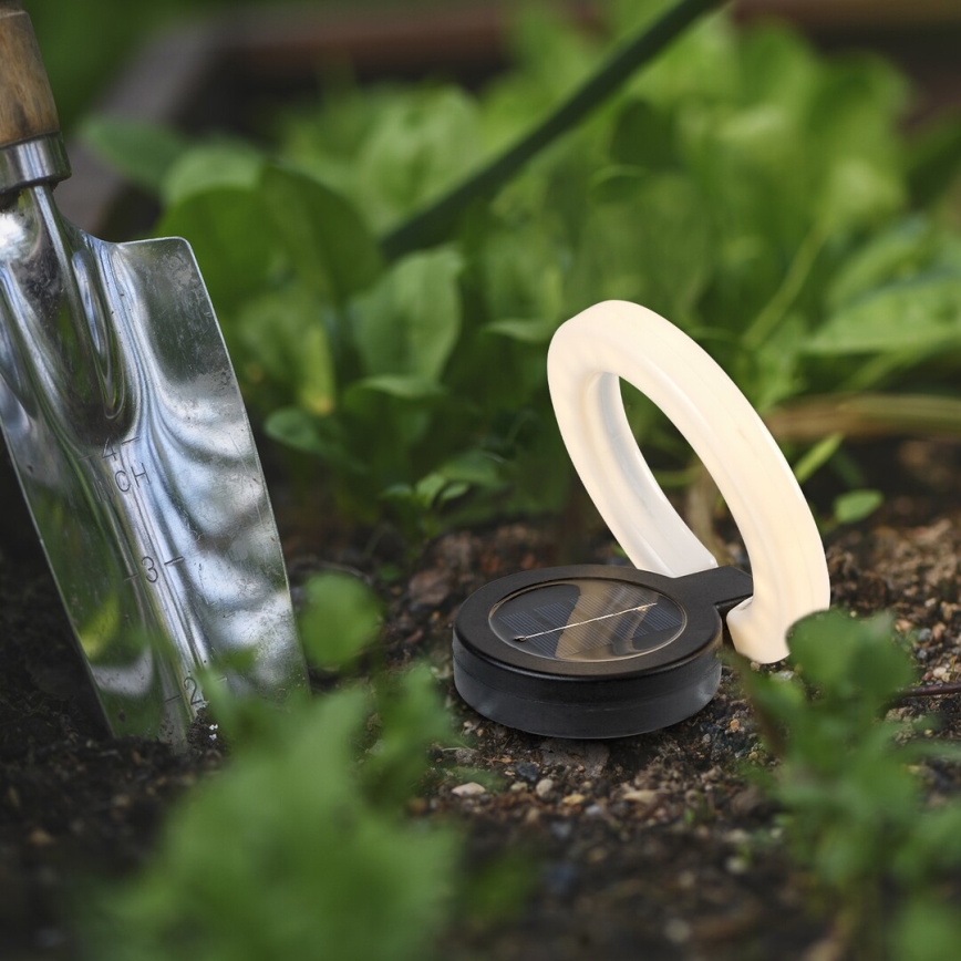 Rabalux - LED Solar lamp LED/0,05W/1,2V IP44