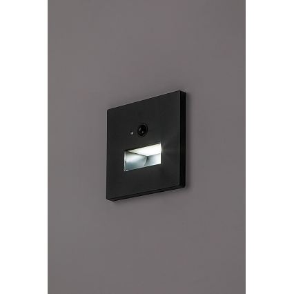 Rabalux - Luminaire d'escalier LED avec capteur de mouvement et capteur crépusculaire LED/1W/230V 3000/4500/6500K noir