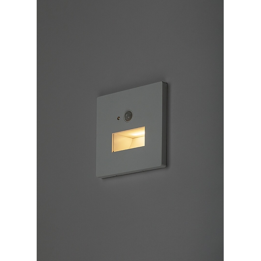 Rabalux - LED-trapverlichting met bewegings- en schemersensor LED/1W/230V 3000/4500/6500K wit